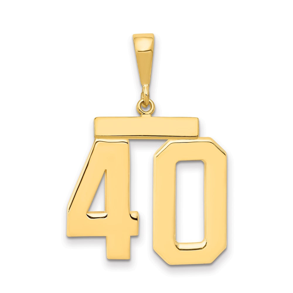 14k Yellow Gold Large Polished Number 40 Charm