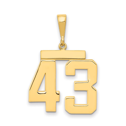 14k Yellow Gold Large Polished Number 43 Charm