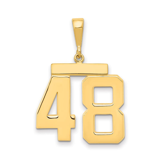 14k Yellow Gold Large Polished Number 48 Charm