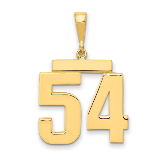 14k Yellow Gold Large Polished Number 54 Charm