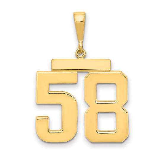 14k Yellow Gold Large Polished Number 58 Charm