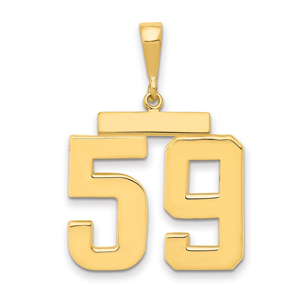 14k Yellow Gold Large Polished Number 59 Charm