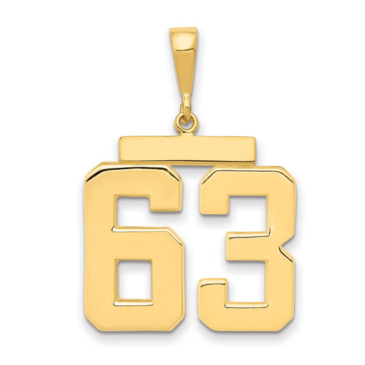 14k Yellow Gold Large Polished Number 63 Charm