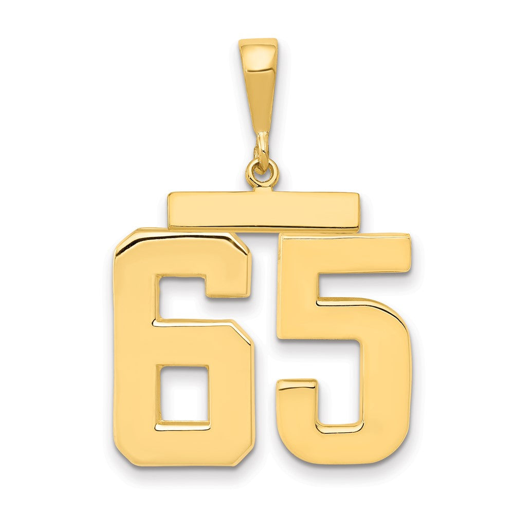 14k Yellow Gold Large Polished Number 65 Charm