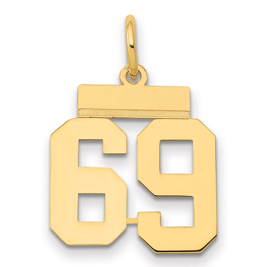 14k Yellow Gold Small Polished Number 69 Charm