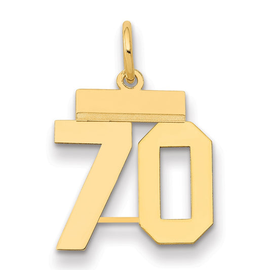 14k Yellow Gold Small Polished Number 70 Charm