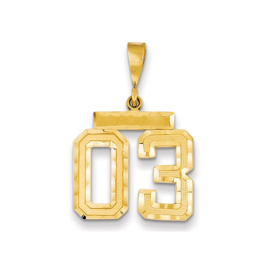 14k Yellow Gold Medium Diamond-cut Number 03 on Top Charm