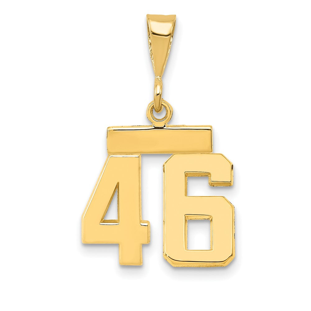 14k Yellow Gold Small Polished Number 46 Charm