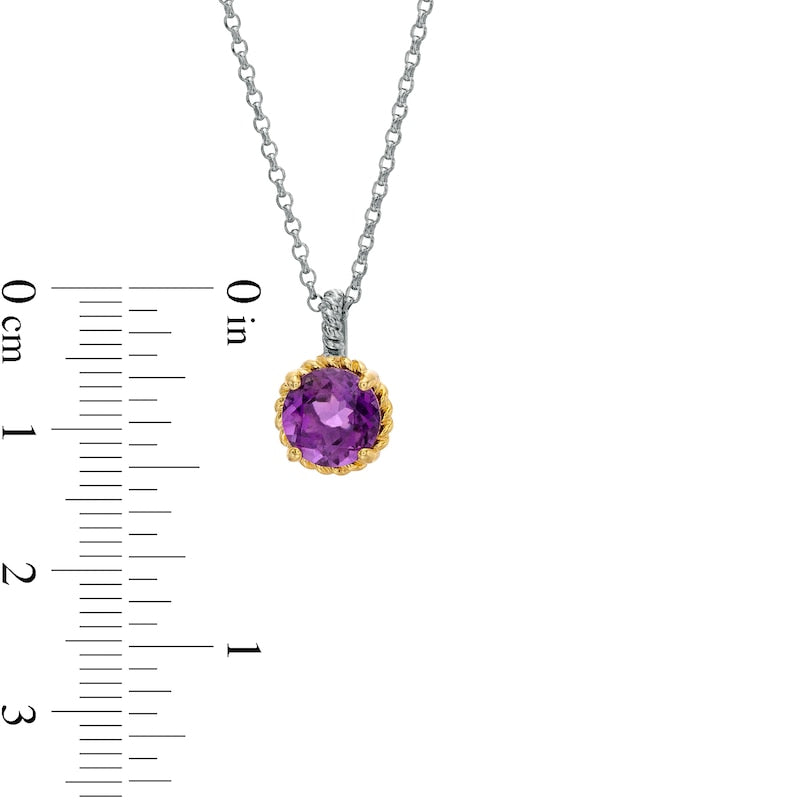 7.0mm Amethyst Solitaire Rope-Textured Frame and Drop Pendant in Sterling Silver and 10K Yellow Gold