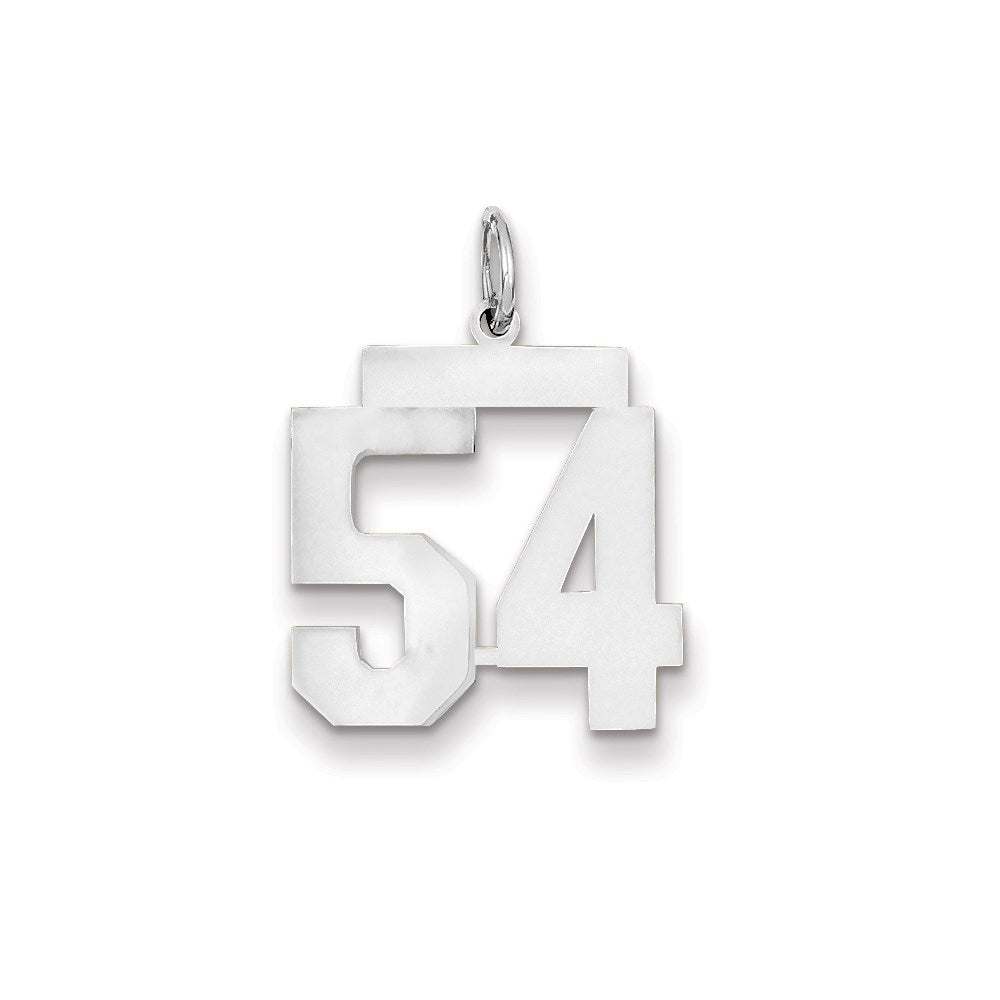 14k White Gold WG Medium Polished Number 54 Charm