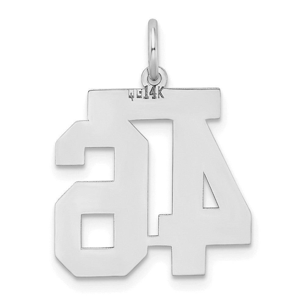 14k White Goldw Medium Satin Number 46 Charm