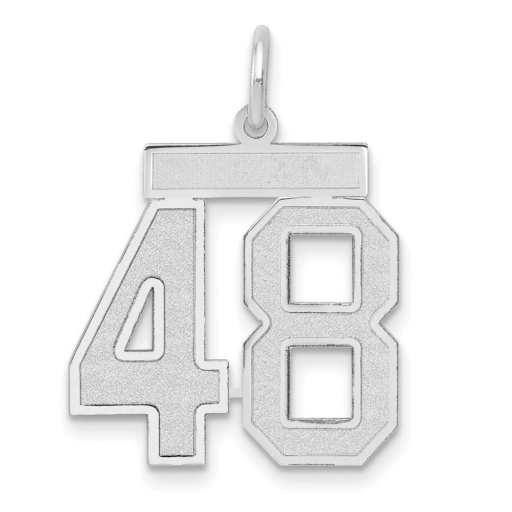 14k White Goldw Medium Satin Number 48 Charm