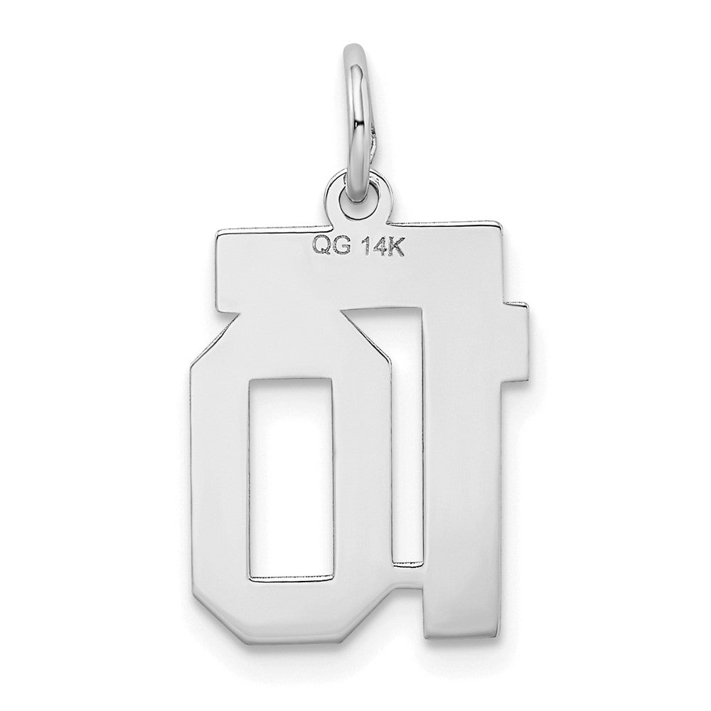 14k White Goldw Small Satin Number 10 Charm