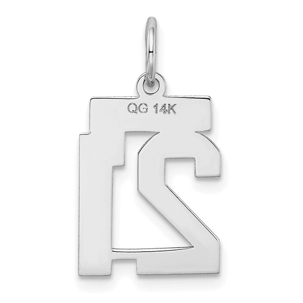 14k White Goldw Small Satin Number 21 Charm