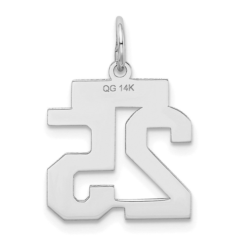 14k White Goldw Small Satin Number 25 Charm