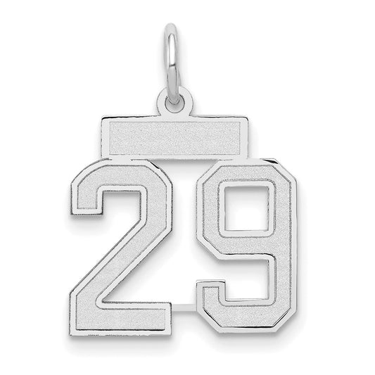 14k White Goldw Small Satin Number 29 Charm