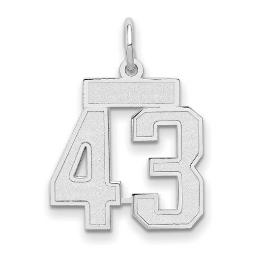 14k White Goldw Small Satin Number 43 Charm