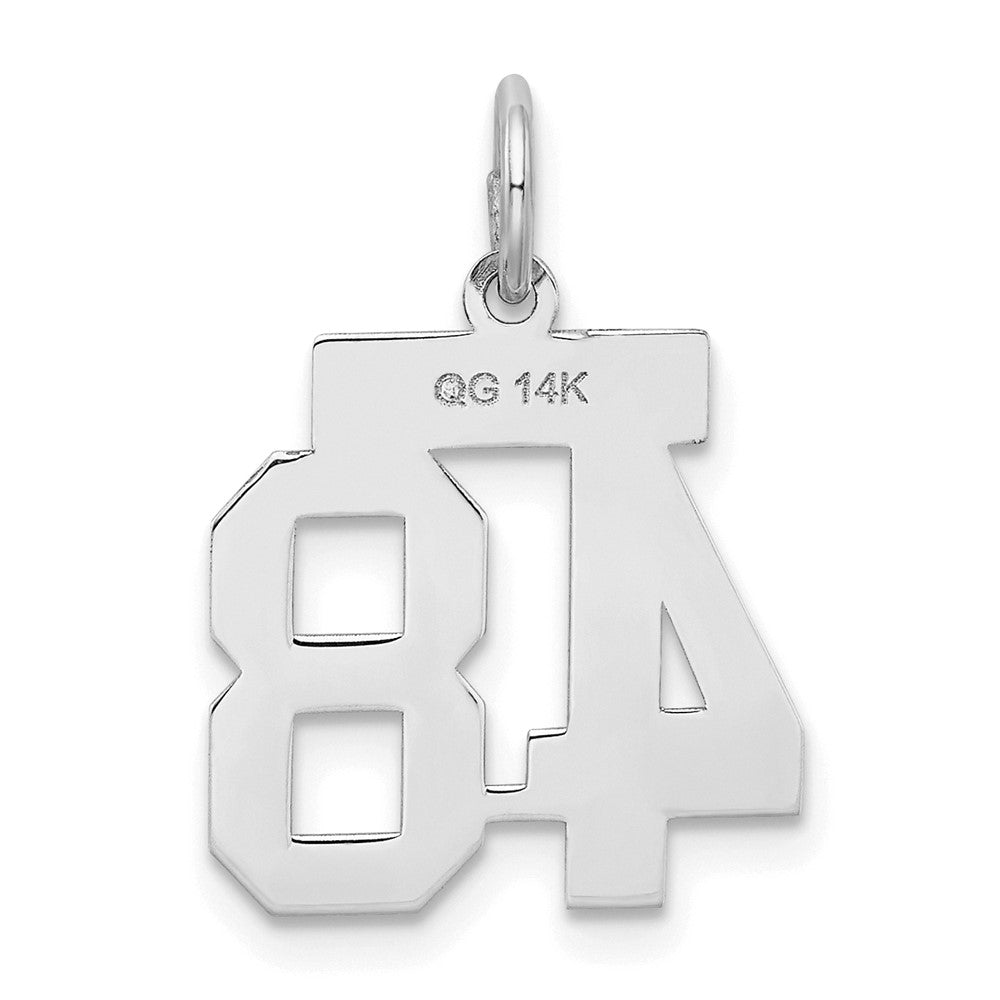 14k White Goldw Small Satin Number 48 Charm