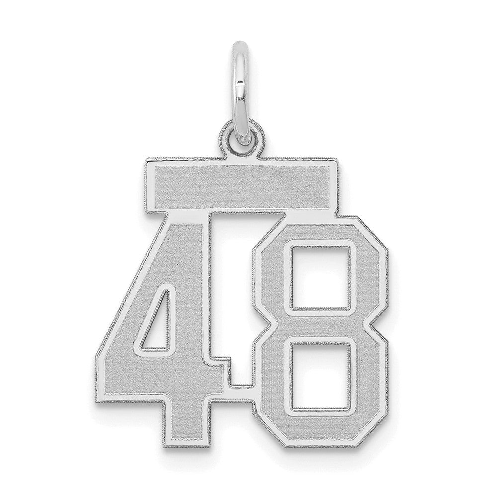 14k White Goldw Small Satin Number 48 Charm