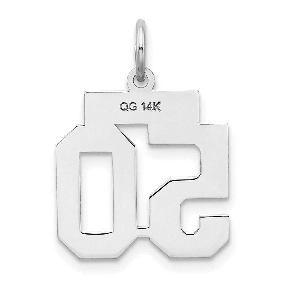 14k White Goldw Small Satin Number 50 Charm