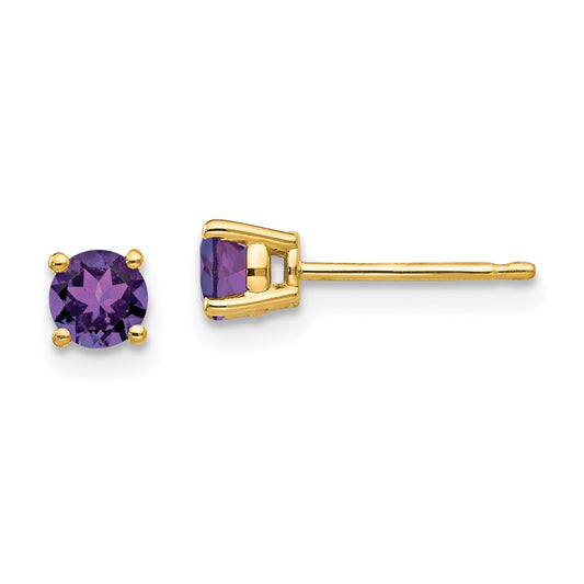 14k Yellow Gold 4mm Amethyst Earrings