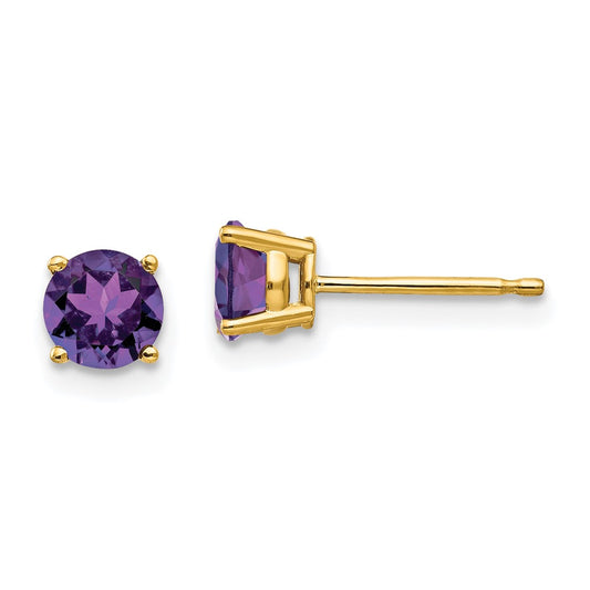 14k Yellow Gold 5mm Amethyst Post Earrings