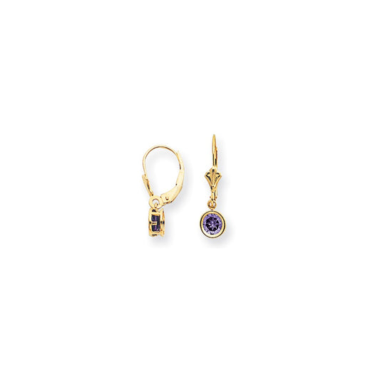 14k Yellow Gold 5mm Amethyst Checker leverback Earrings