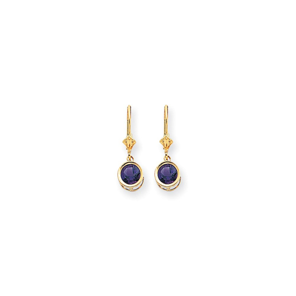 14k Yellow Gold 6mm Amethyst Checker leverback Earrings