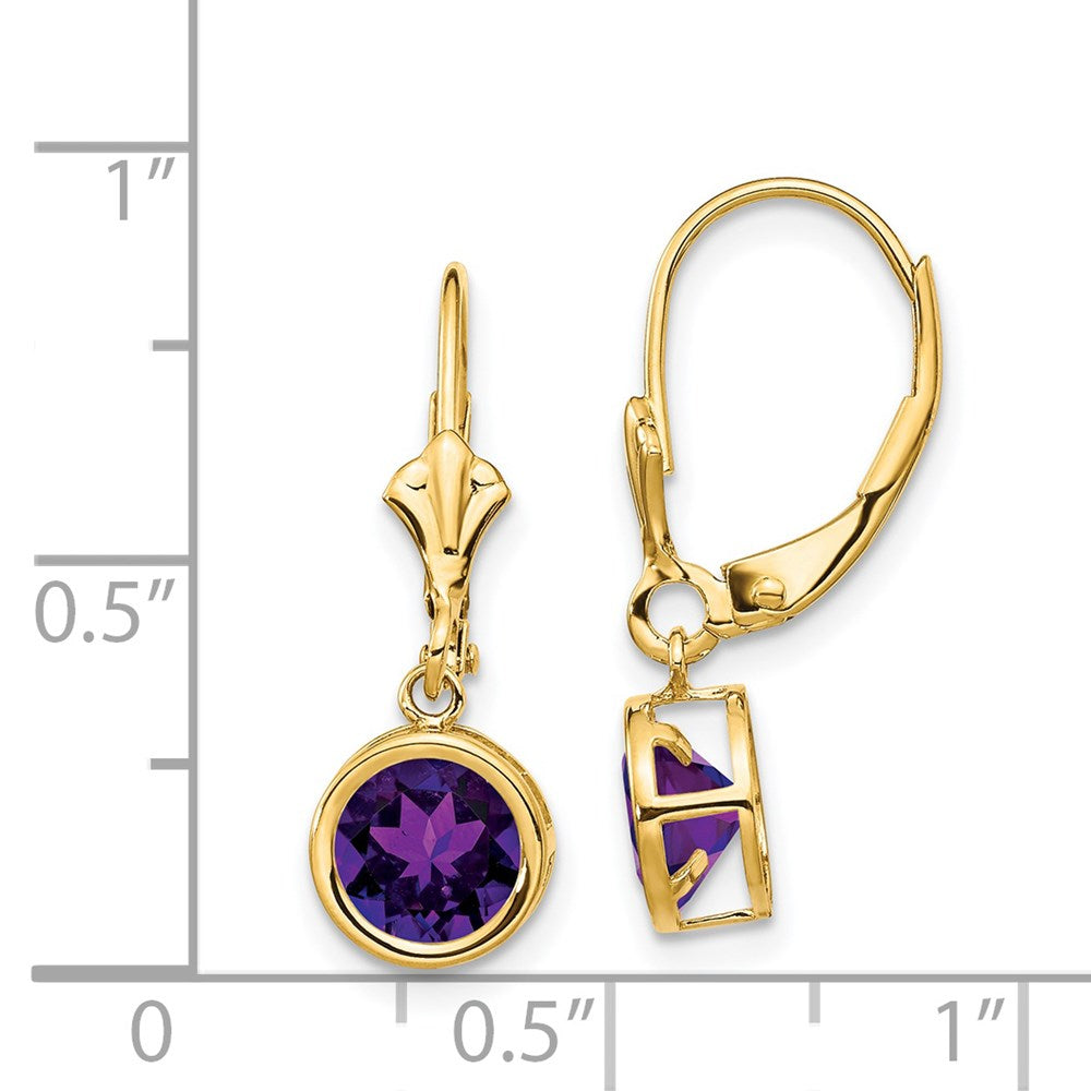 14k Yellow Gold 6mm Amethyst Leverback Earrings