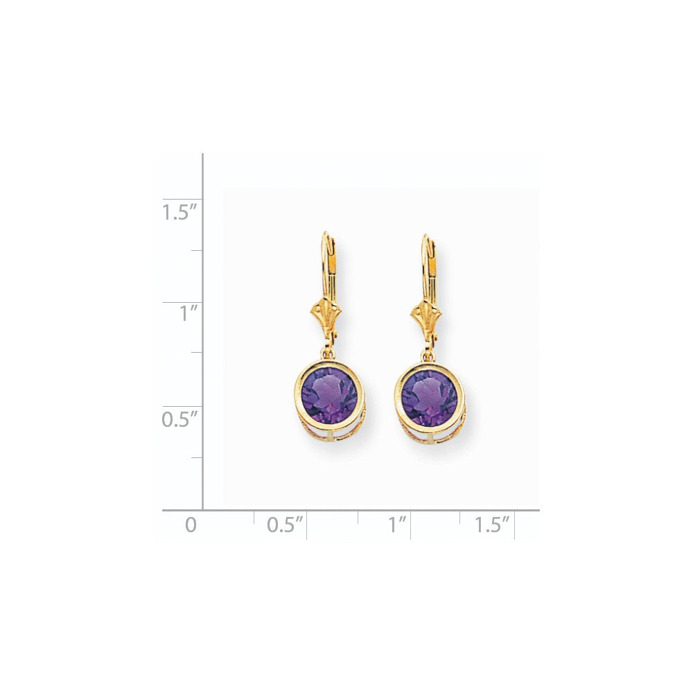 14k Yellow Gold 8mm Amethyst Leverback Earrings