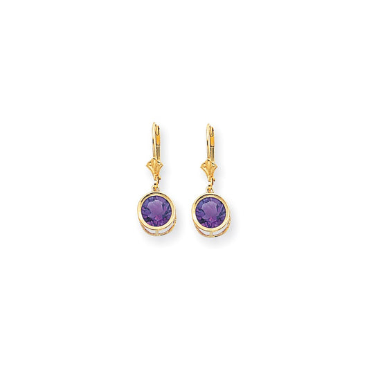 14k Yellow Gold 8mm Amethyst Leverback Earrings