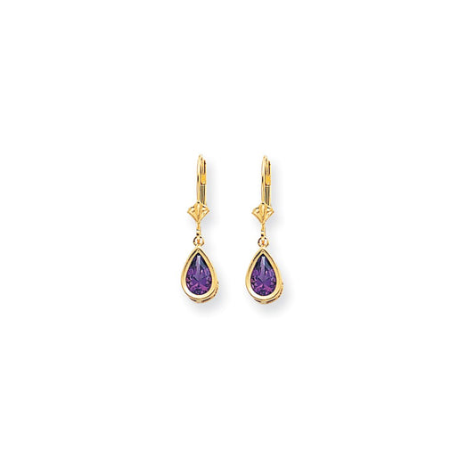 14k Yellow Gold 8x5mm Pear Amethyst Checker leverback Earrings