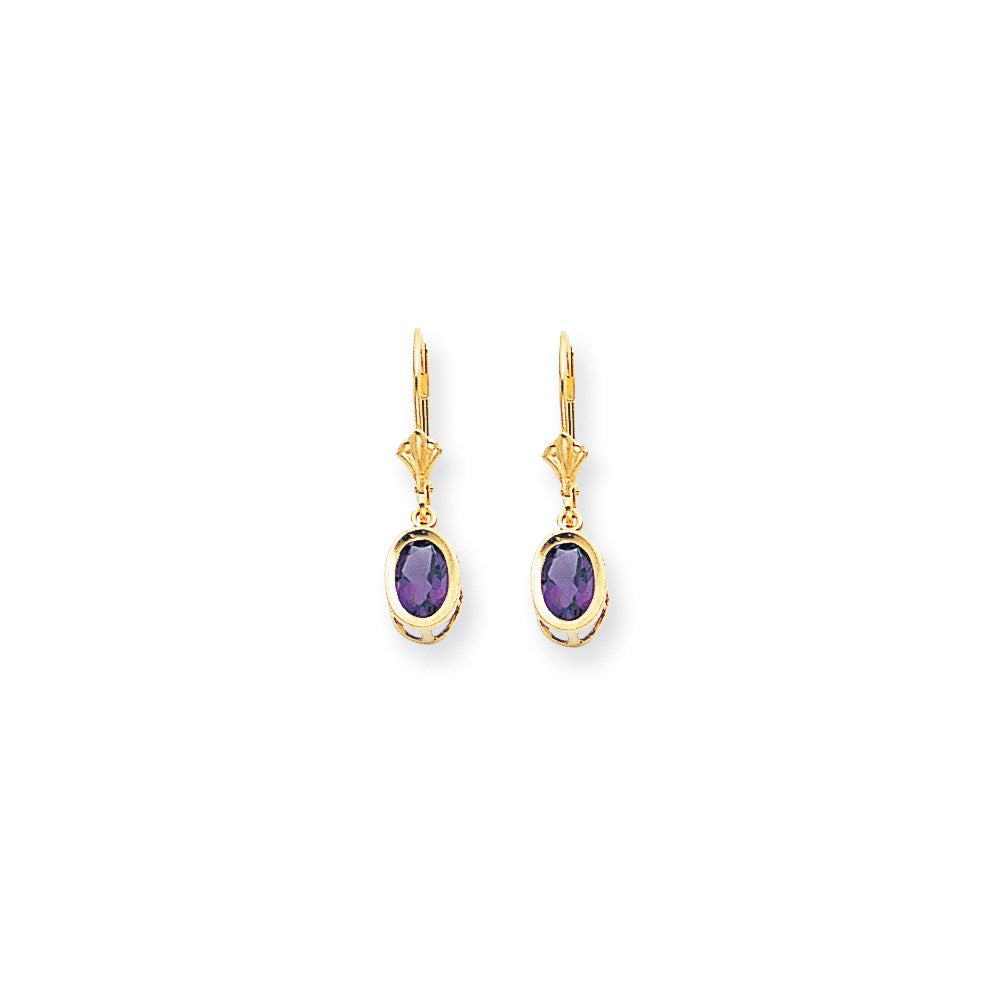 14k Yellow Gold 7x5mm Oval Amethyst Checker leverback Earrings