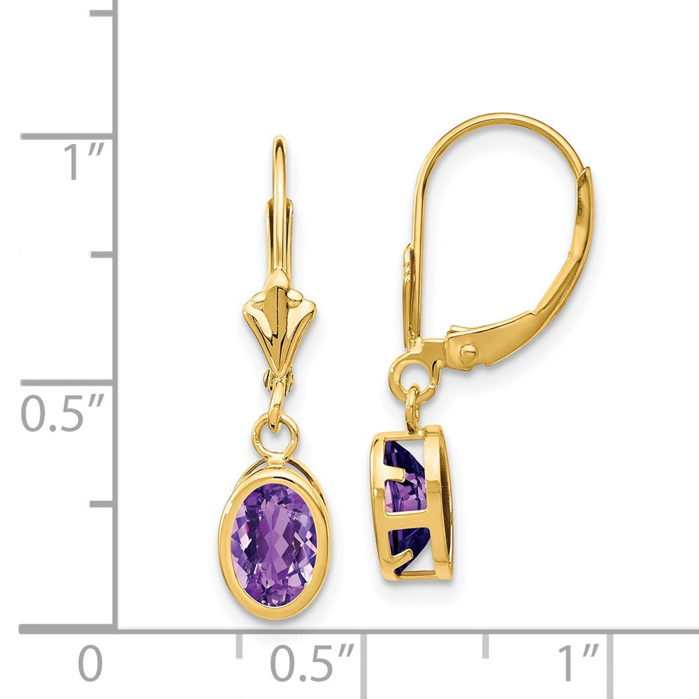 14k Yellow Gold 7x5mm Oval Amethyst Leverback Earrings