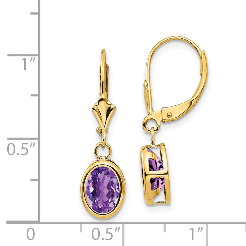 14k Yellow Gold 8x6mm Oval Amethyst Leverback Earrings