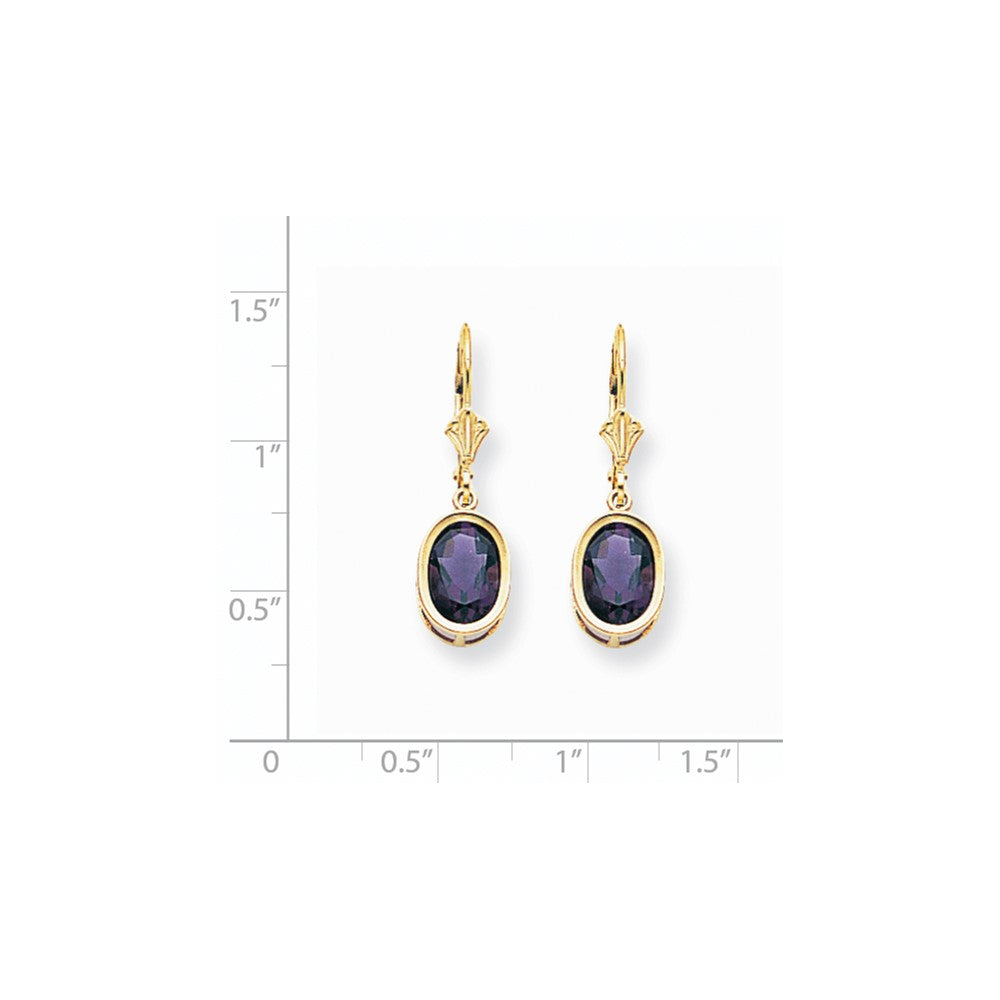 14k Yellow Gold 9x7mm Oval Amethyst Leverback Earrings