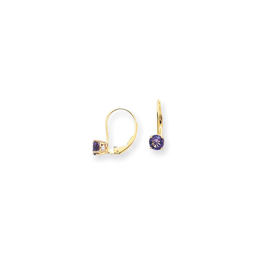 14k Yellow Gold 5mm Amethyst Checker leverback Earrings