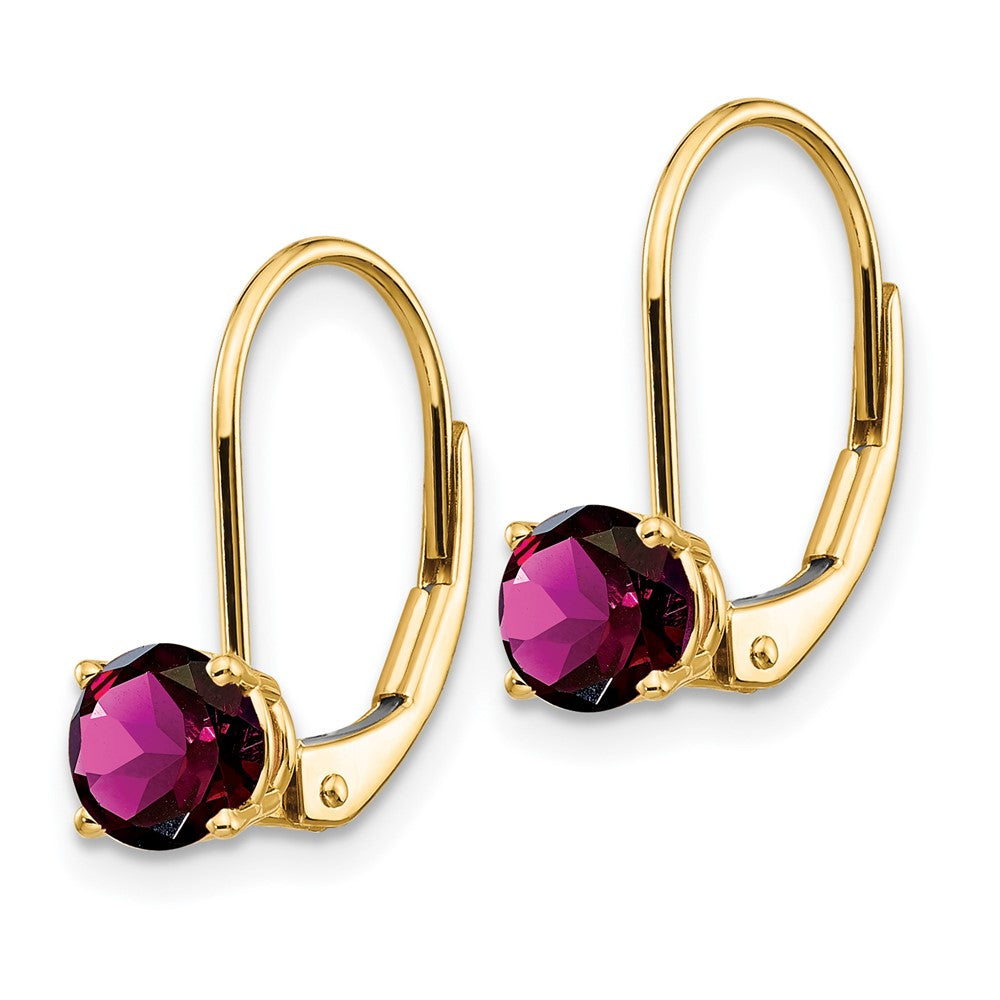 14k Yellow Gold 5mm Amethyst Leverback Earrings