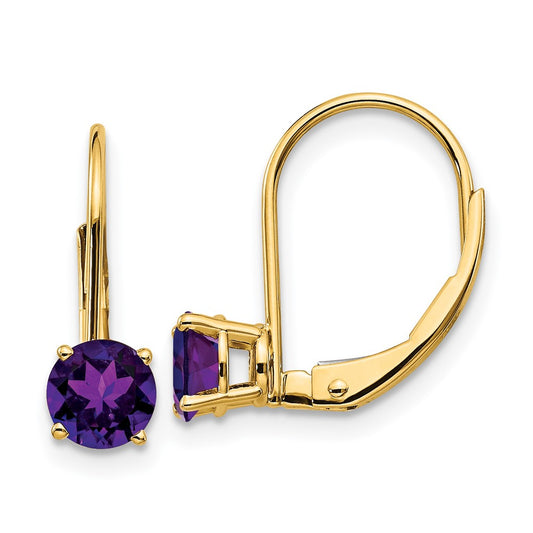 14k Yellow Gold 5mm Amethyst Leverback Earrings