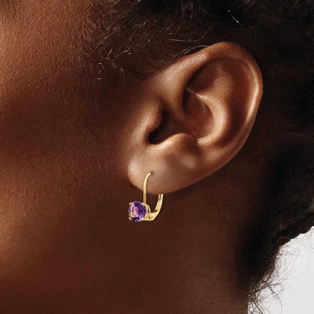 14k Yellow Gold 6mm Amethyst Leverback Earrings