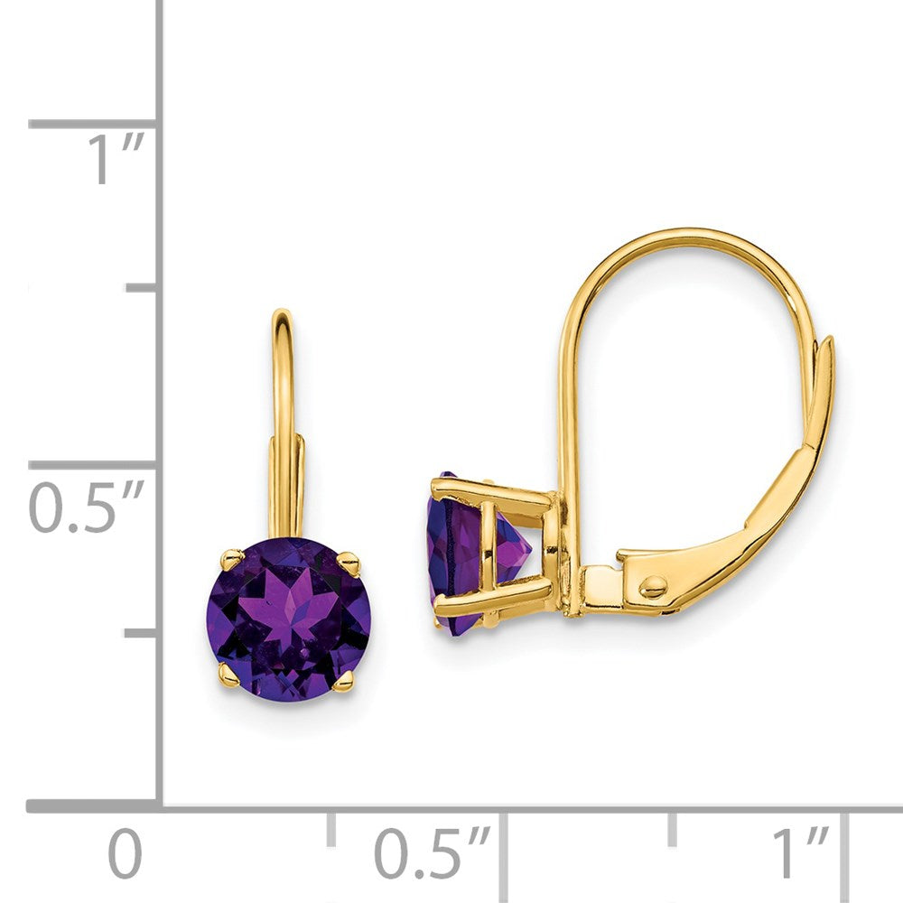 14k Yellow Gold 6mm Amethyst Leverback Earrings