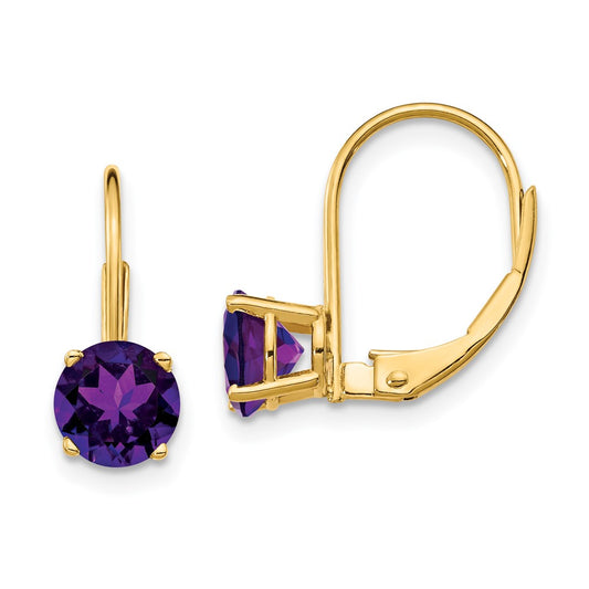 14k Yellow Gold 6mm Amethyst Leverback Earrings