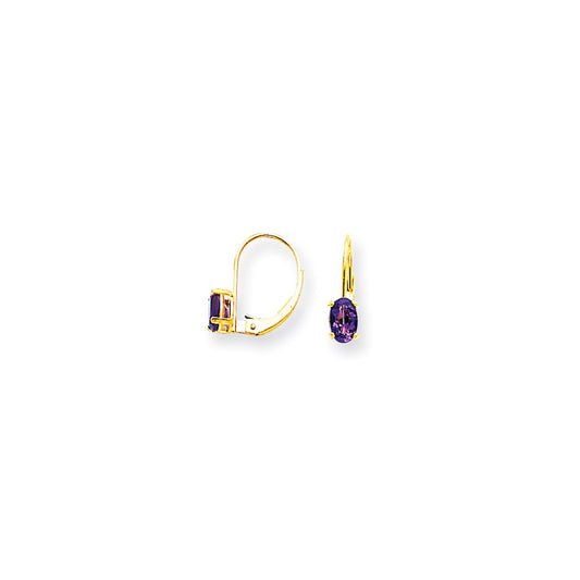 14k Yellow Gold 6x4mm Oval Amethyst Checker leverback Earrings