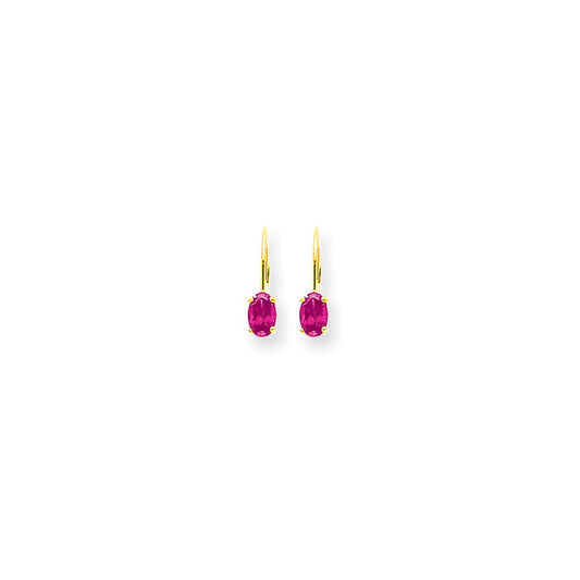 14k Yellow Gold 6x4mm Oval Pink Sapphire leverback Earrings