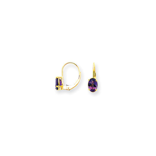 14k Yellow Gold 7x5mm Oval Amethyst Checker leverback Earrings