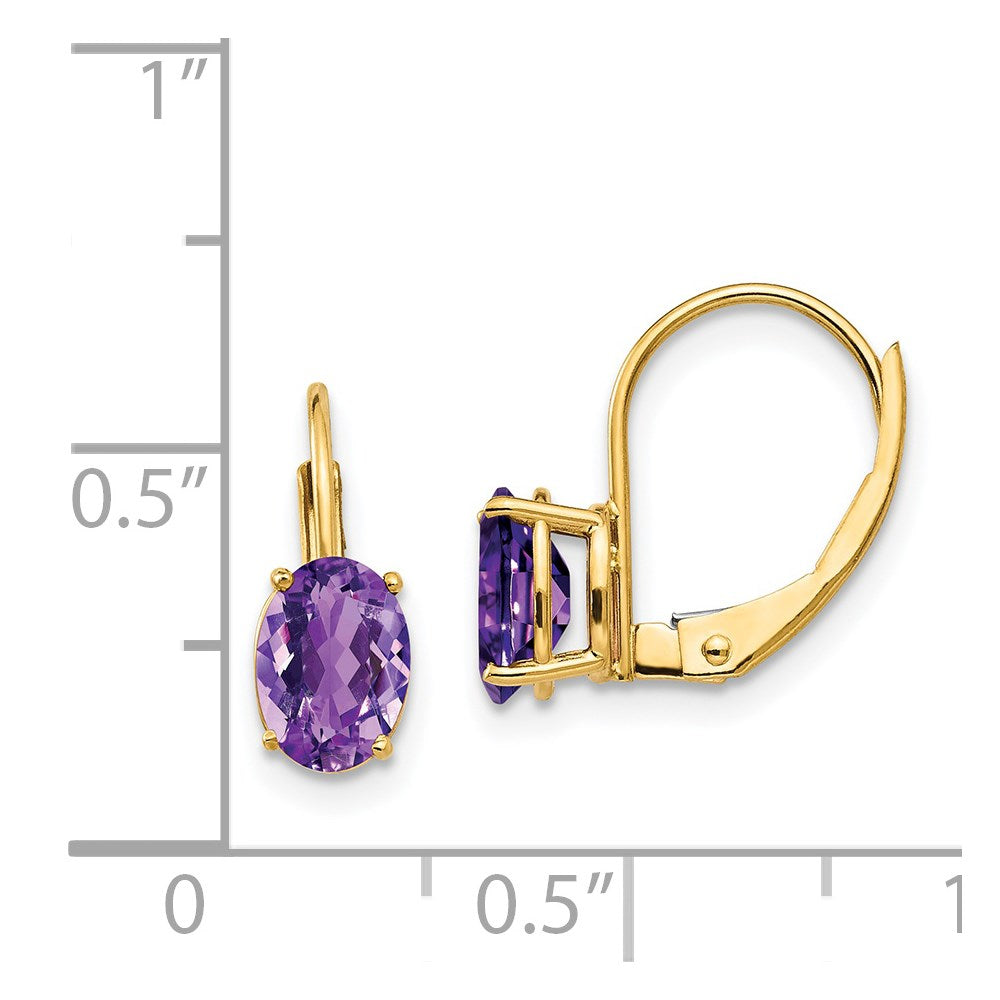 14k Yellow Gold 7x5mm Oval Amethyst Leverback Earrings