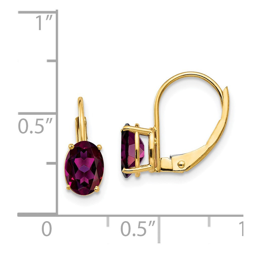 14k Yellow Gold 7x5mm Oval Rhodolite Garnet Leverback Earrings