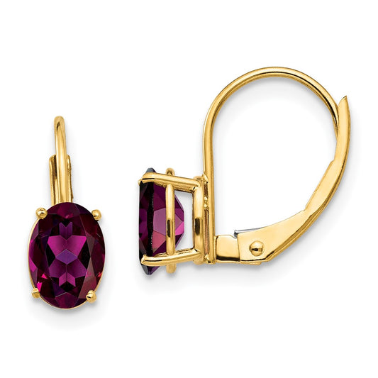 14k Yellow Gold 7x5mm Oval Rhodolite Garnet Leverback Earrings