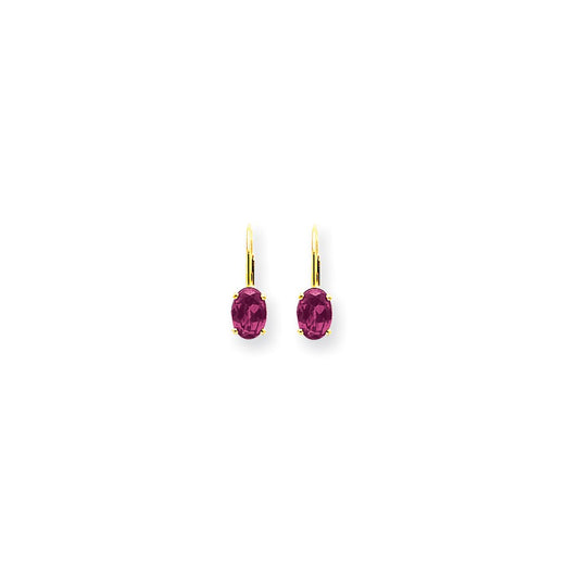 14k Yellow Gold 7x5mm Oval Pink Sapphire leverback Earrings