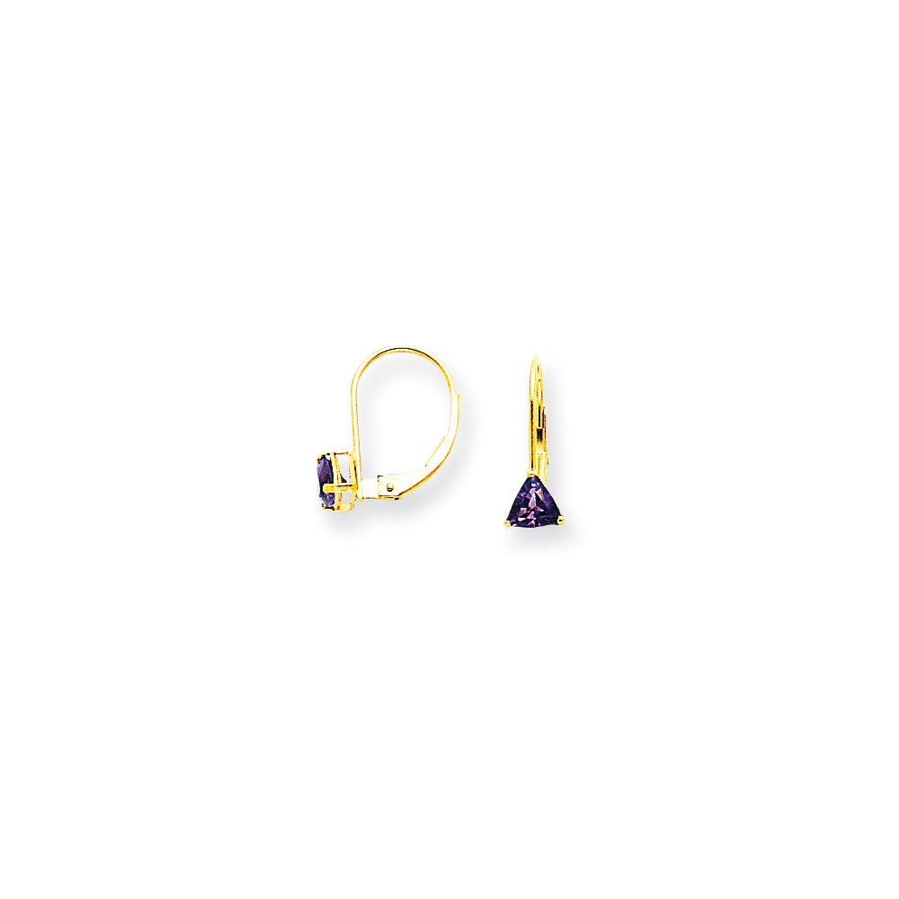 14k Yellow Gold 5mm Trillion Amethyst Leverback Earrings